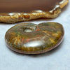 Natural Ammolite Fossil Display 62.95g 58.2 by 46.8 by 18.0mm - Huangs Jadeite and Jewelry Pte Ltd