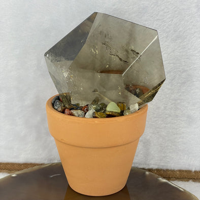 Natural Smoky Quartz in a Pot Display 506.5g 122.3 by 81.5 by 71.0mm - Huangs Jadeite and Jewelry Pte Ltd