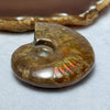 Natural Ammolite Fossil Display 72.56g 63.2 by 49.4 by 18.3mm - Huangs Jadeite and Jewelry Pte Ltd