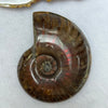Natural Ammolite Fossil Display 71.47g 61.6 by 48.8 by 18.8mm - Huangs Jadeite and Jewelry Pte Ltd
