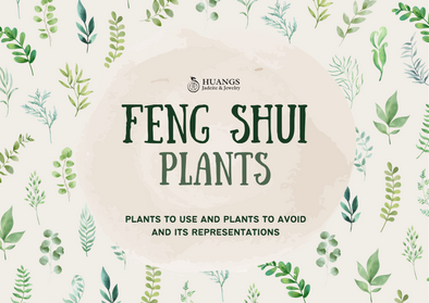 Feng Shui Plants