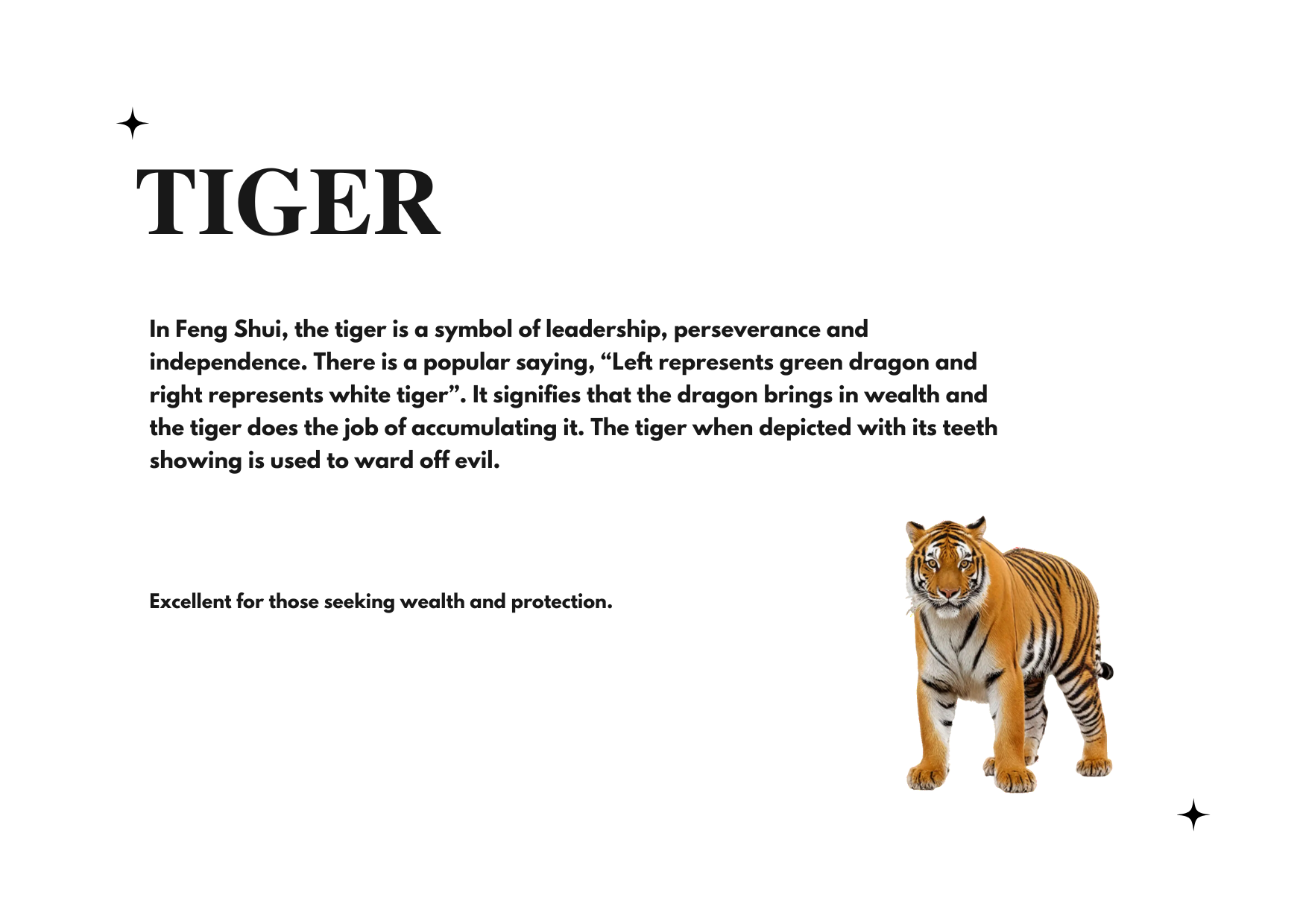 Tiger 虎