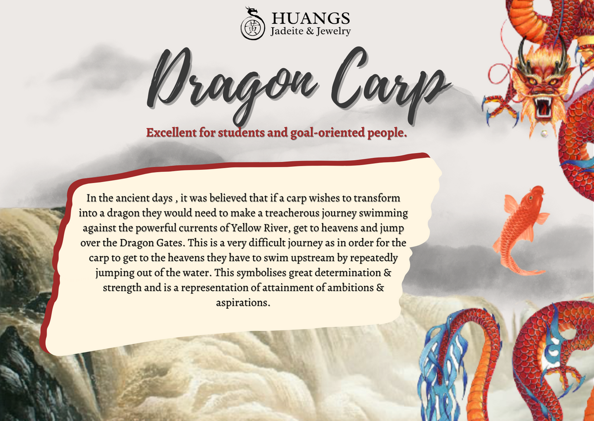 Dragon Carp 龙鱼