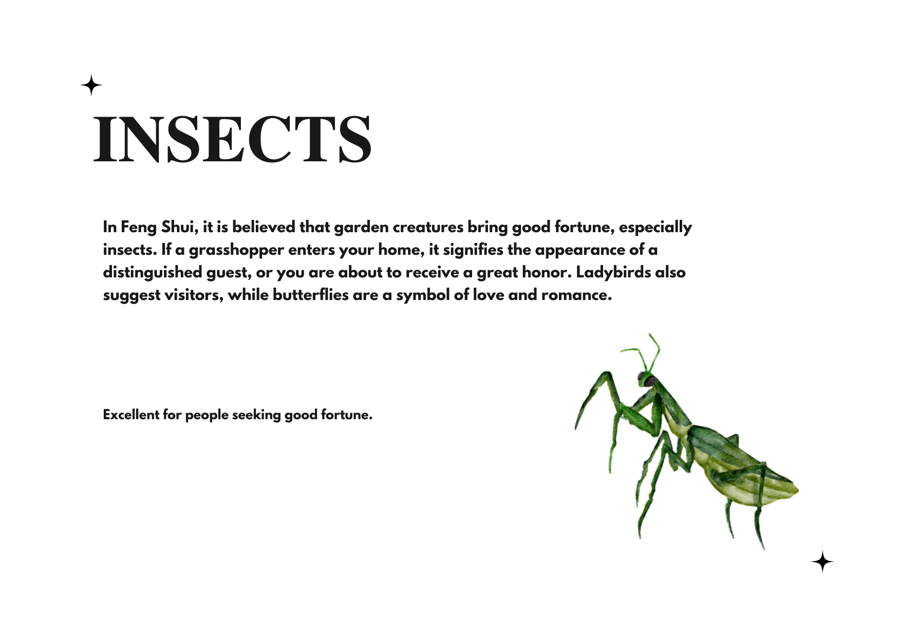 Insects 昆虫类 jade jadeite singapore chinatown best for gifts feng shui