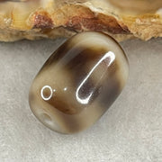 Natural Powerful Tibetan Old Oily Agate 3 Eyes Dzi Bead Heavenly Master (Tian Zhu) 三眼天诛 2.30g 13.7 by 10.2mm - Huangs Jadeite and Jewelry Pte Ltd