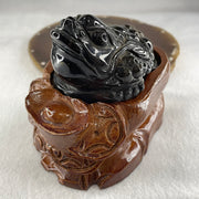 Natural Yellow Tiger's Eye Quartz 3 Legged Toad with Ancient Coin with Wooden Stand Display 412.4g 108.5 by 83.0 by 94.5mm - Huangs Jadeite and Jewelry Pte Ltd