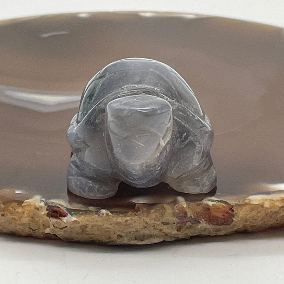 Natural Purple Agate Turtle Mini Display Specimen | (51.81g | 50.9 x 33.0 x 26.5mm Dimensions | Root, Third Eye & Crown Chakra Synergy, Longevity Anchor, Steady Prosperity & Mindful Feng Shui Catalyst)