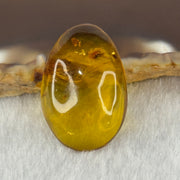Natural Amber for Setting 1.63g 24.8 by 16.8 by 6.8mm - Huangs Jadeite and Jewelry Pte Ltd