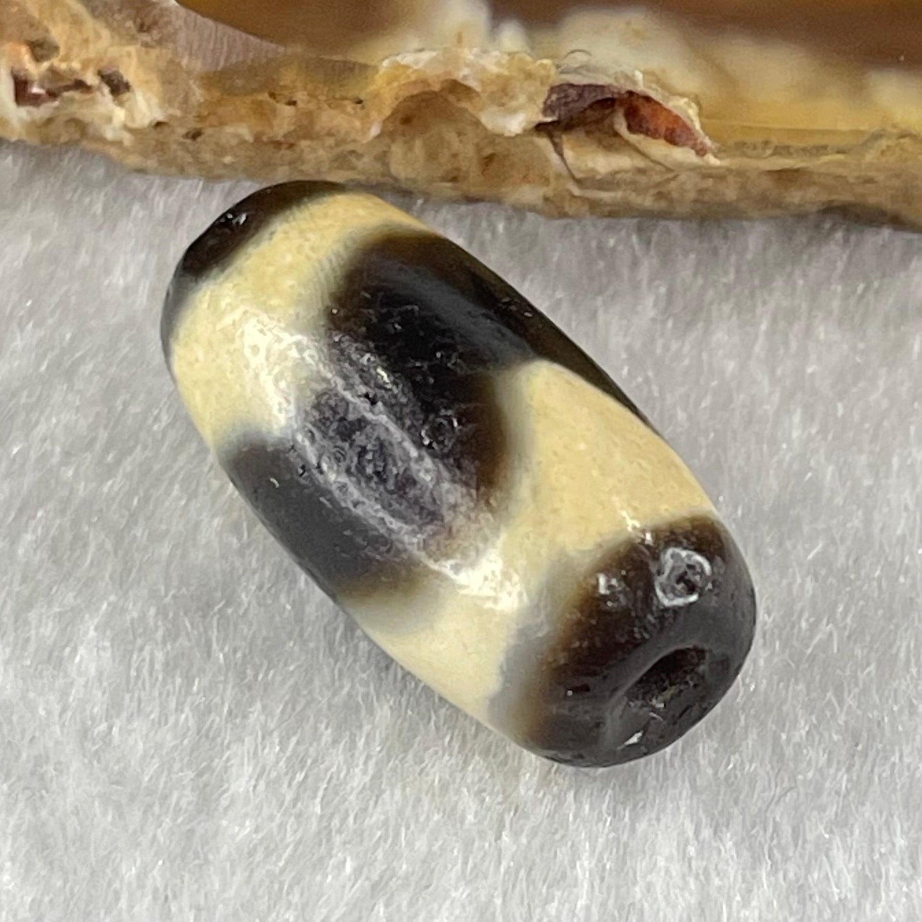 Natural Powerful Tibetan Old Oily Agate Tiger Tooth Daluo Dzi Bead Heavenly Master (Tian Zhu) 虎呀天诛 3.04g 19.9 by 10.1mm - Huangs Jadeite and Jewelry Pte Ltd