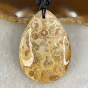 Natural Brown Coral Agate Pendant 17.27g 42.5 by 31.0 by 9.0mm - Huangs Jadeite and Jewelry Pte Ltd