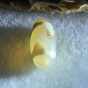 Natural Powerful Tibetan Old Oily Agate Tiger Tooth Daluo Dzi Bead Heavenly Master (Tian Zhu) 虎呀天诛 3.10g 19.9 by 10.3mm - Huangs Jadeite and Jewelry Pte Ltd