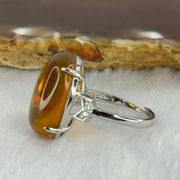 Natural Yellow Amber in S925 Sliver Ring (Adjustable Size) 3.54g 20.1 by 14.5 by 7.0mm - Huangs Jadeite and Jewelry Pte Ltd