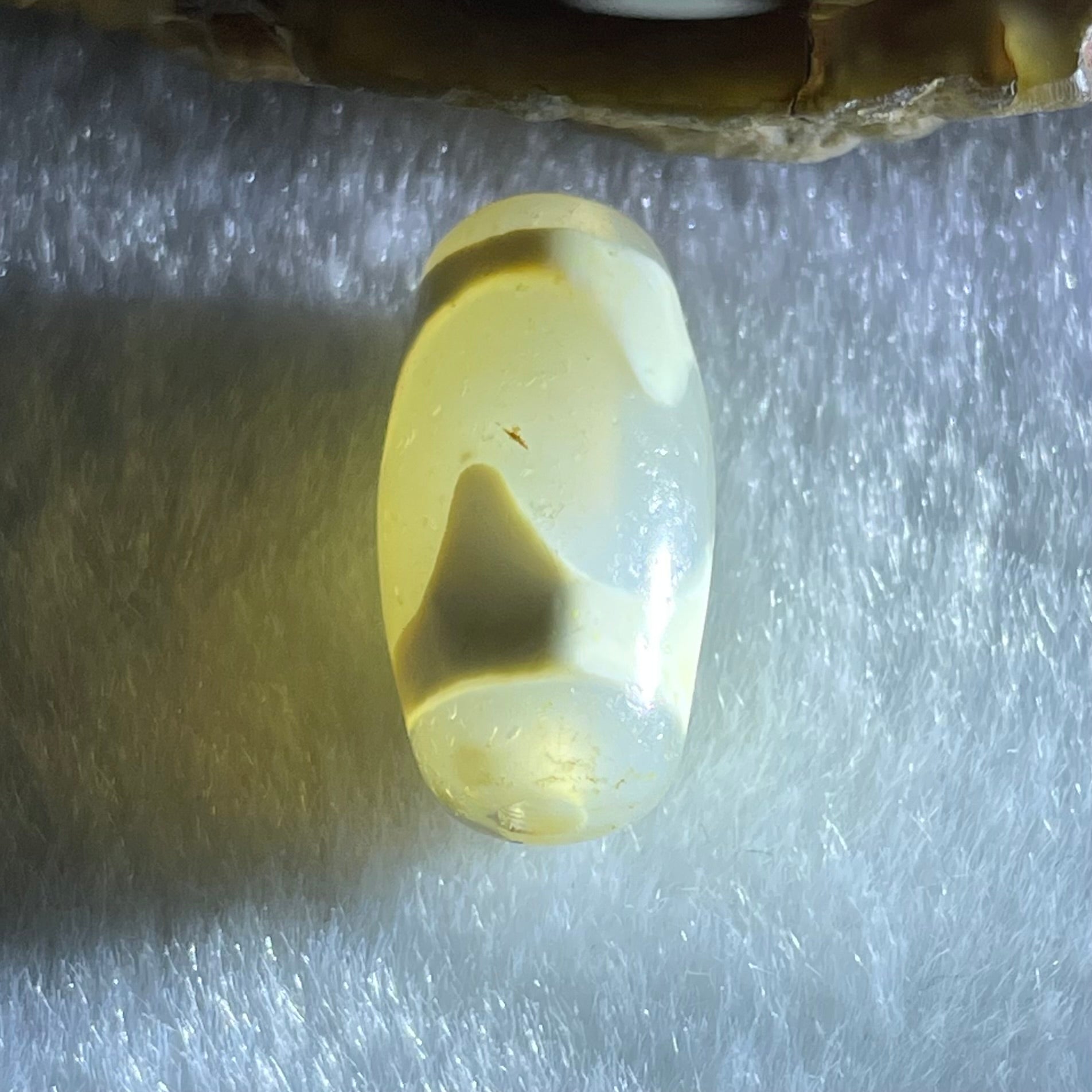 Natural Powerful Tibetan Old Oily Agate Tiger Tooth Daluo Dzi Bead Heavenly Master (Tian Zhu) 虎呀天诛 2.93g 19.9 by 10.1mm - Huangs Jadeite and Jewelry Pte Ltd