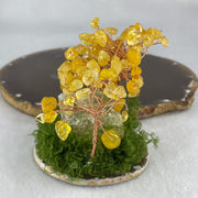 Natural Citrine Money Tree with Rough Citrine Display 139.62g 90.2 by 66.8 by 74.4mm - Huangs Jadeite and Jewelry Pte Ltd