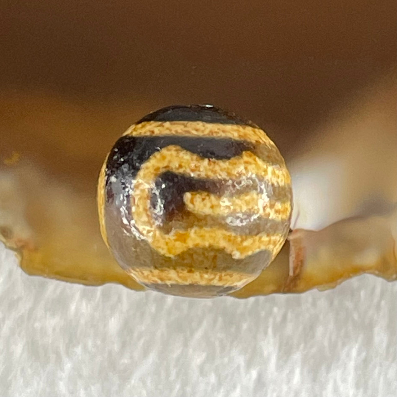 Natural Powerful Tibetan Old Oily Agate Double Garuda Dzi Bead Heavenly Master (Tian Zhu) 1.59g 10.3 by 10.6mm - Huangs Jadeite and Jewelry Pte Ltd