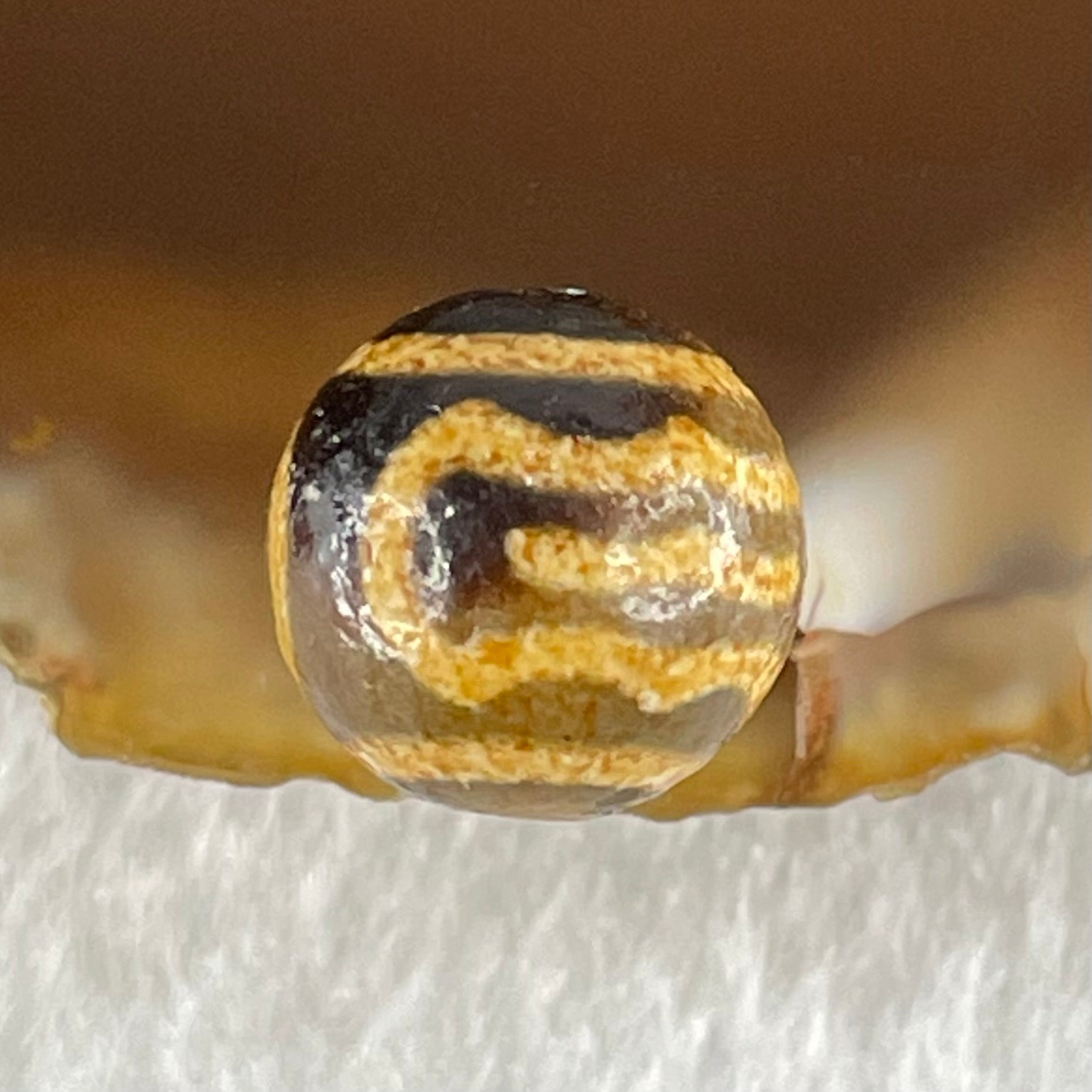 Natural Powerful Tibetan Old Oily Agate Double Garuda Dzi Bead Heavenly Master (Tian Zhu) 1.59g 10.3 by 10.6mm - Huangs Jadeite and Jewelry Pte Ltd