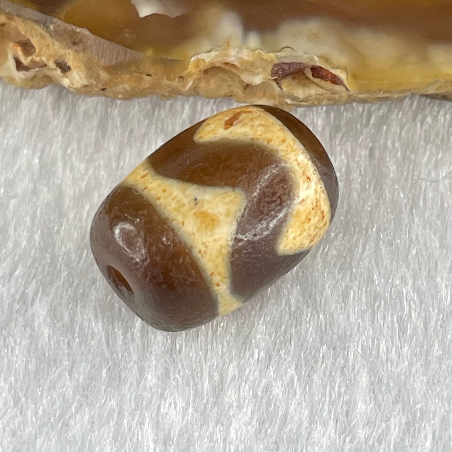Natural Powerful Tibetan Old Oily Dark Brown Yellow Agate Tiger Tooth Daluo Dzi Bead Heavenly Master (Tian Zhu) 2.50g 14.4 by 10.6mm - Huangs Jadeite and Jewelry Pte Ltd