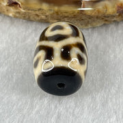 Natural Powerful Tibetan Old Oily Agate 6 Hearts Tortoise Shell Dzi Bead Heavenly Master (Tian Zhu) 六心龟壳天珠 5.01g 18.1 by 13.1mm - Huangs Jadeite and Jewelry Pte Ltd