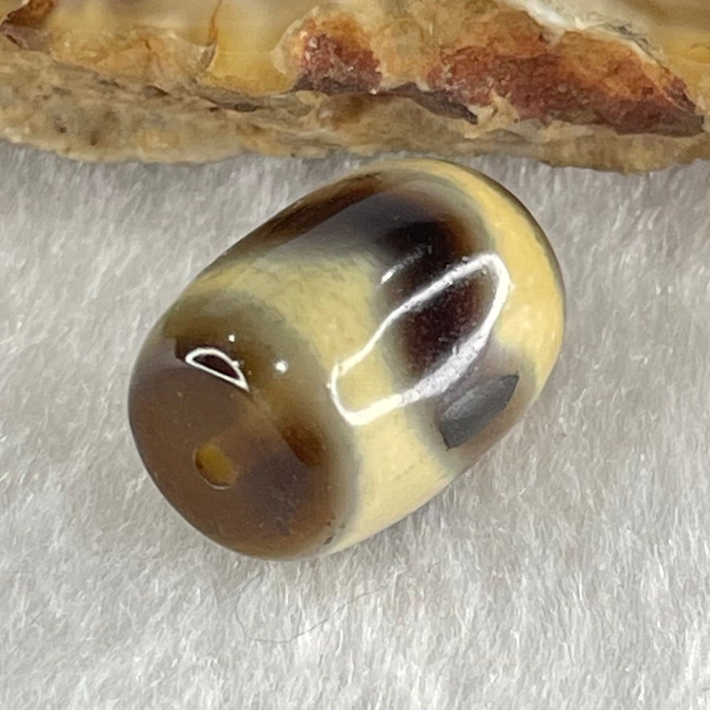 Natural Powerful Tibetan Old Oily Agate Tiger Tooth Daluo Dzi Bead Heavenly Master (Tian Zhu) 虎呀天诛 2.30g 13.1 by 10.1mm - Huangs Jadeite and Jewelry Pte Ltd