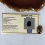 Natural Amber Stone for Setting 1.47g 22.4 by 14.1 by 7.8mm - Huangs Jadeite and Jewelry Pte Ltd