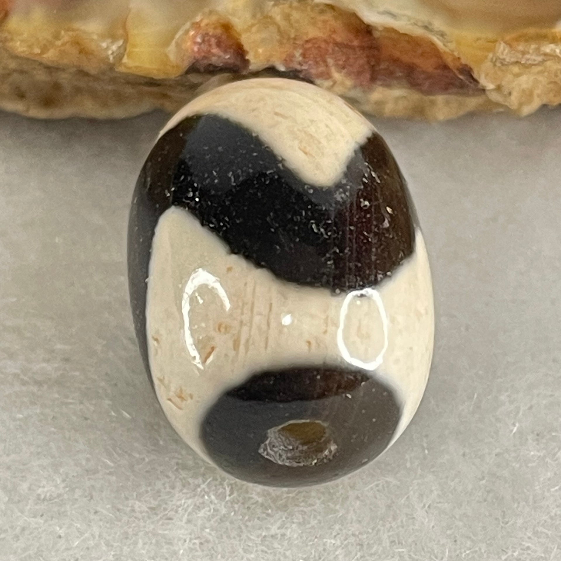 Natural Powerful Tibetan Old Oily Agate Tiger Tooth Daluo Dzi Bead Heavenly Master (Tian Zhu) 虎呀天诛 4.35g 17.6 by 12.6mm - Huangs Jadeite and Jewelry Pte Ltd