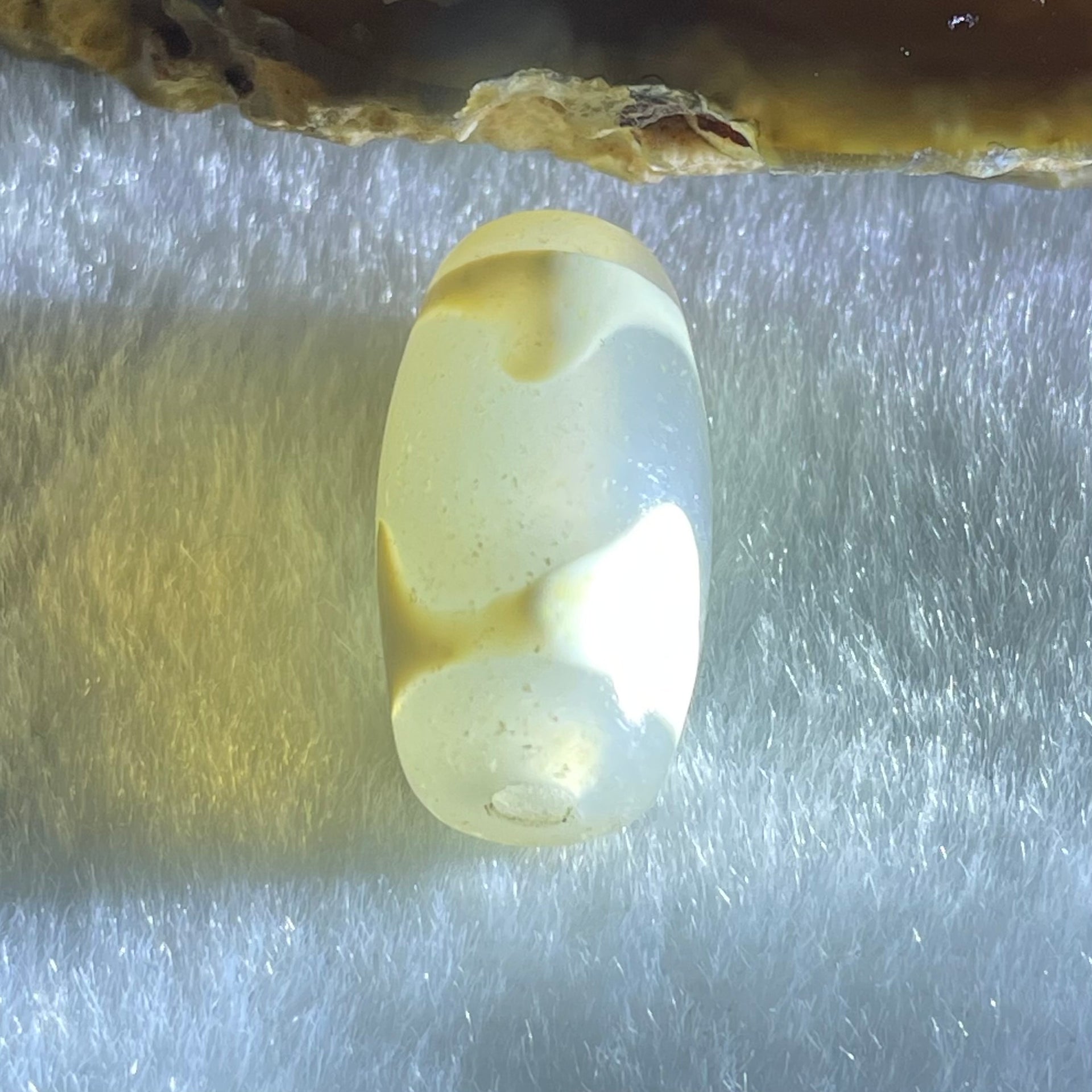 Natural Powerful Tibetan Old Oily Agate Tiger Tooth Daluo Dzi Bead Heavenly Master (Tian Zhu) 虎呀天诛 3.31g 19.8 by 10.5mm - Huangs Jadeite and Jewelry Pte Ltd