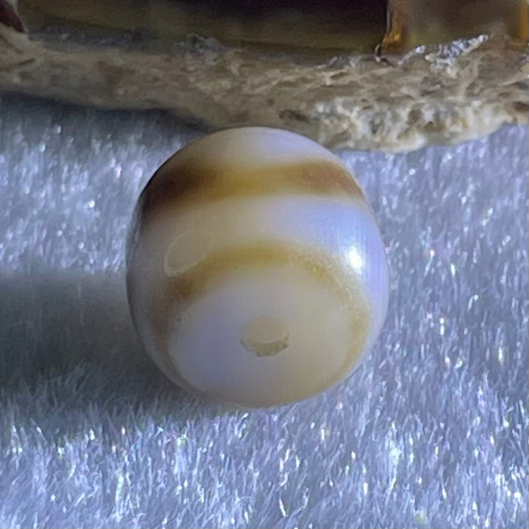 Natural Powerful Tibetan Old Oily Agate Tiger Tooth Daluo Dzi Bead Heavenly Master (Tian Zhu) 1.82g 9.7 by 10.8mm - Huangs Jadeite and Jewelry Pte Ltd