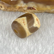 Natural Powerful Tibetan Old Oily Dark Brown Yellow Agate Tiger Tooth Daluo Dzi Bead Heavenly Master (Tian Zhu) 2.06g 12.2 by 10.1mm - Huangs Jadeite and Jewelry Pte Ltd