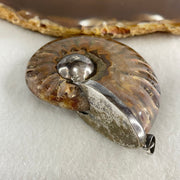 Natural Ammonite Fossil in Silver Pendant 61.42g 56.0 by 44.4 by 18.4mm - Huangs Jadeite and Jewelry Pte Ltd