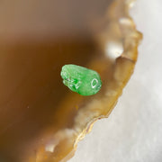 Type A Old Mine Spicy Green Jadeite Pixiu Stone For Setting 0.36g 9.1 by 6.4 by 3.2mm - Huangs Jadeite and Jewelry Pte Ltd