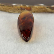 Natural Amber Mini Display 8.92g 61.4 by 17.2 by 14.9mm - Huangs Jadeite and Jewelry Pte Ltd