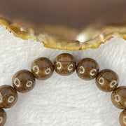 Natural Six Way Wooden Beads Bracelet 六道木手链 11.02g 17cm 10.8mm 19 Beads - Huangs Jadeite and Jewelry Pte Ltd