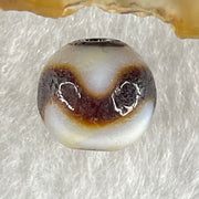 Natural Powerful Tibetan Old Oily Agate Tiger Tooth Daluo Dzi Bead Heavenly Master (Tian Zhu) 虎呀天诛 1.40g 9.8 by 10.3mm - Huangs Jadeite and Jewelry Pte Ltd