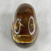 Natural Ammonite Ammonoid Fossil with Wooden Stand 490.3g 104.2 by 81.4 by 110.0mm - Huangs Jadeite and Jewelry Pte Ltd