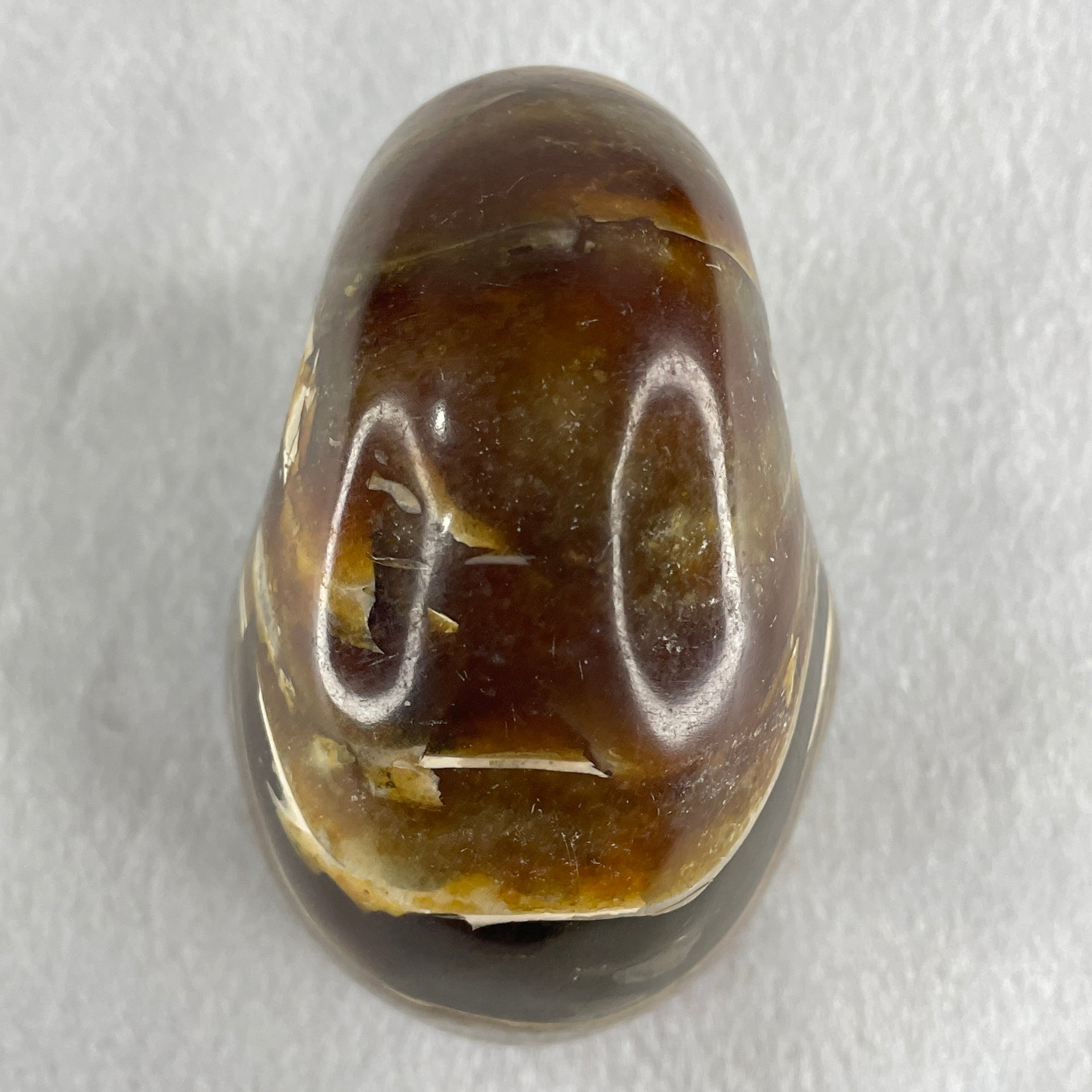 Natural Ammonite Ammonoid Fossil with Wooden Stand 490.3g 104.2 by 81.4 by 110.0mm - Huangs Jadeite and Jewelry Pte Ltd