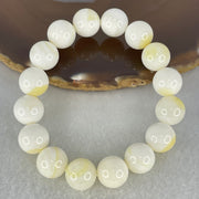 Natural Tridacna Sea Shell Beads Bracelet 46.38g 17cm 12.5mm 16 Beads - Huangs Jadeite and Jewelry Pte Ltd
