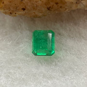 Natural Colombia Vivid Green Emerald (Beryl) Cut-Cornered Rectangular Step cut 0.40ct 4.3 by 3.7 by 2.8mm - Huangs Jadeite and Jewelry Pte Ltd