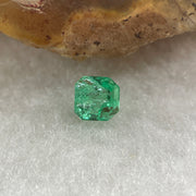 Natural Colombia Vivid Green Emerald (Beryl) Cut-Cornered Square Step cut 0.41ct 4.5 by 4.3 by 3.2mm - Huangs Jadeite and Jewelry Pte Ltd