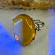 Natural Yellow Amber in S925 Sliver Ring (Adjustable Size) 3.54g 20.1 by 14.5 by 7.0mm - Huangs Jadeite and Jewelry Pte Ltd