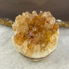 Natural Citrine Mini Hedgehog Display 99.98g 44.6 by 48.7 by 38.3mm - Huangs Jadeite and Jewelry Pte Ltd