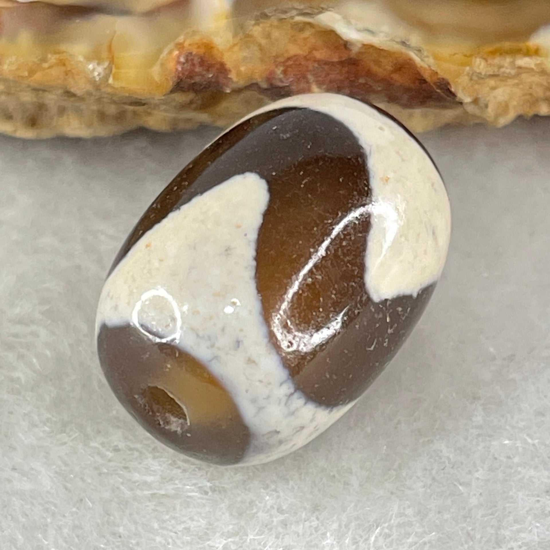 Natural Powerful Tibetan Old Oily Agate Tiger Tooth Daluo Dzi Bead Heavenly Master (Tian Zhu) 虎呀天诛 4.03g 17.0 by 12.4mm - Huangs Jadeite and Jewelry Pte Ltd