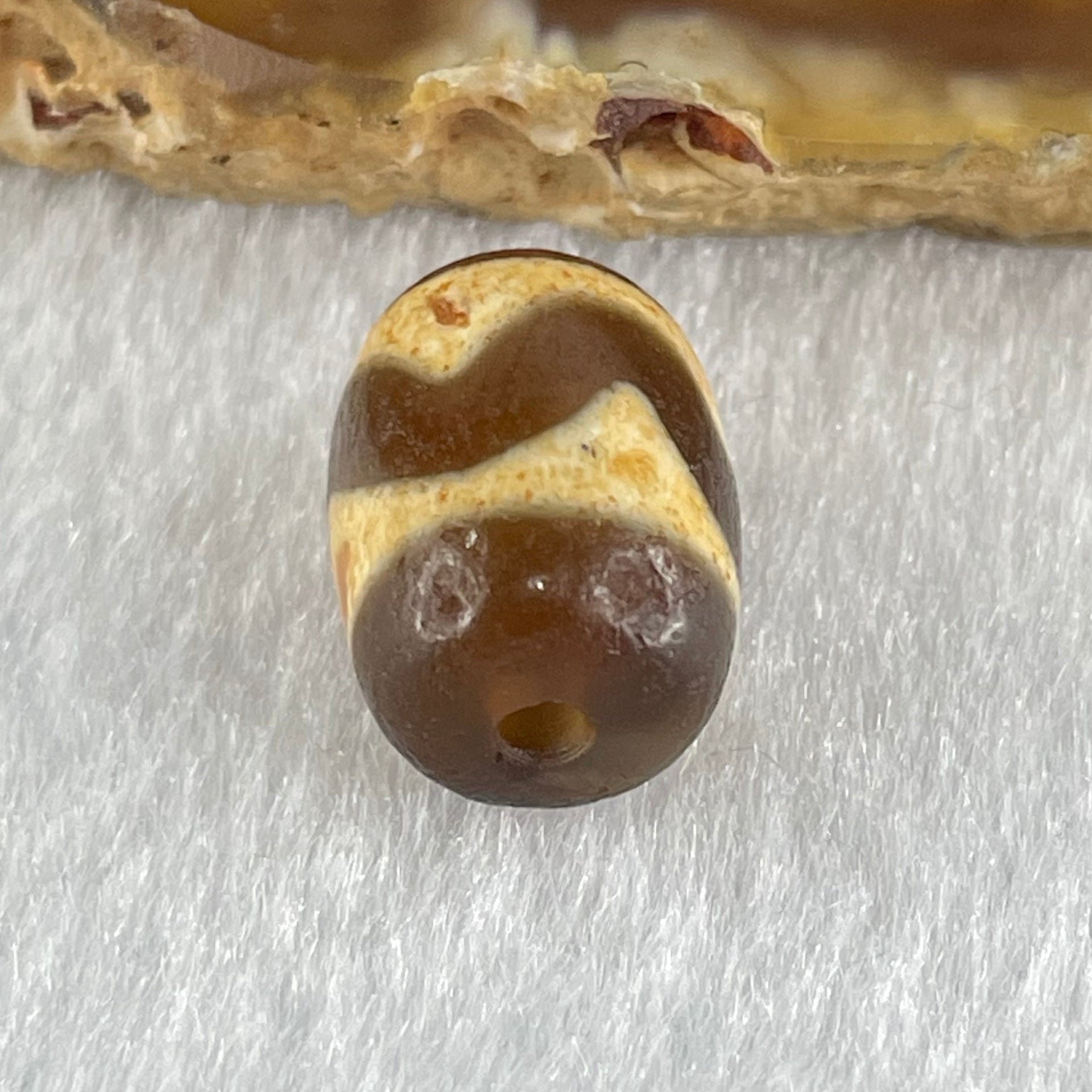 Natural Powerful Tibetan Old Oily Dark Brown Yellow Agate Tiger Tooth Daluo Dzi Bead Heavenly Master (Tian Zhu) 2.50g 14.4 by 10.6mm - Huangs Jadeite and Jewelry Pte Ltd