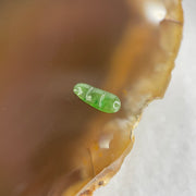 Type A Old Mine Full Green Jadeite Peapod Charm Stone For Setting 0.12g 8.8 by 3.5 by 1.5mm - Huangs Jadeite and Jewelry Pte Ltd