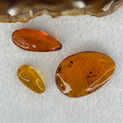 Natural Amber for Setting (Set of 3) 3.44g 30.8 by 21.3 by 8.6mm 1.08g 25.4 by 11.4 by 6.7mm 0.56g 17.2 by 9.2 by 5.9mm - Huangs Jadeite and Jewelry Pte Ltd