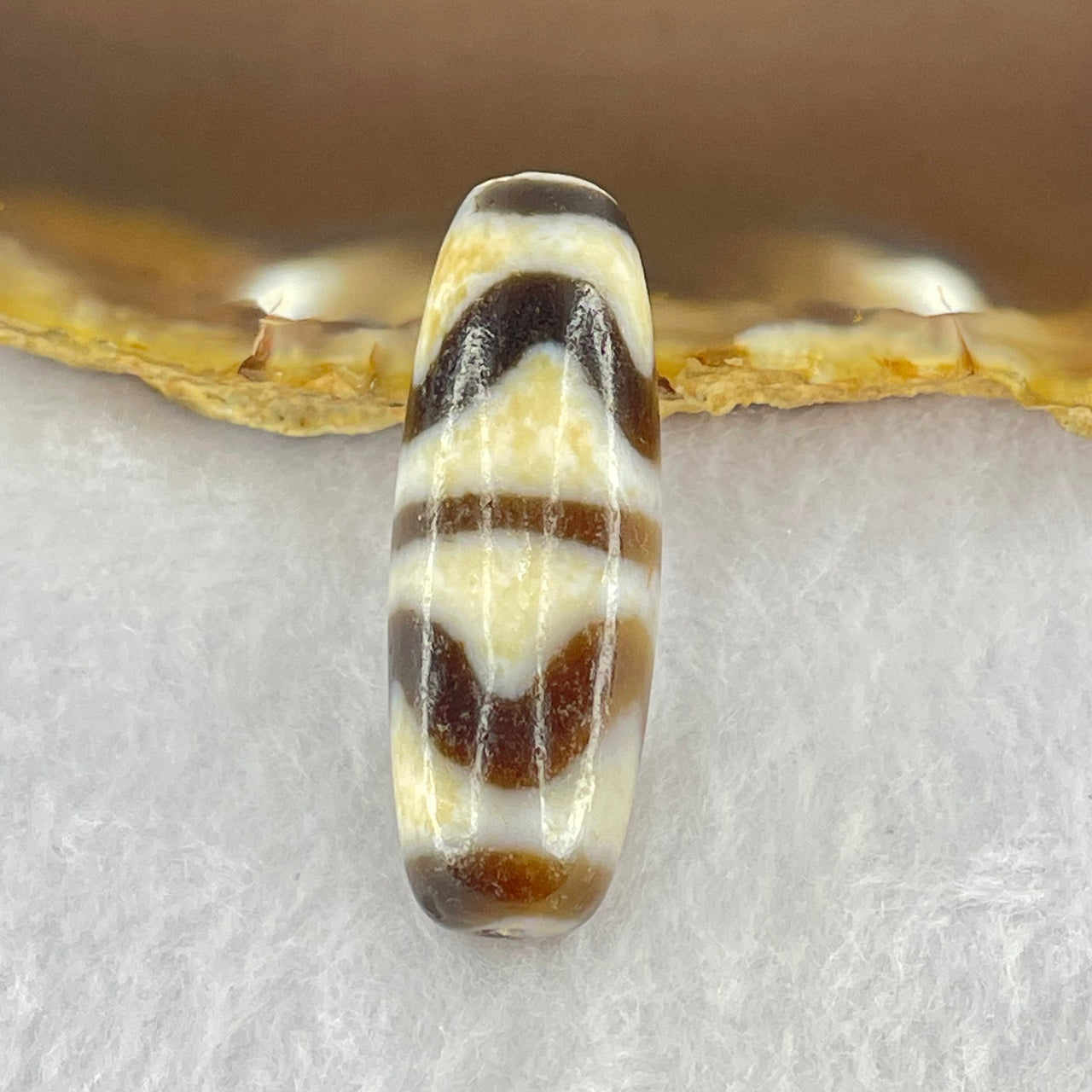 Natural Powerful Tibetan Old Oily Dark Brown White Yellow Agate Double Tiger Tooth Daluo Dzi Bead Heavenly Master (Tian Zhu) 双虎呀天诛 9.53g 36.8 by 13.1mm - Huangs Jadeite and Jewelry Pte Ltd
