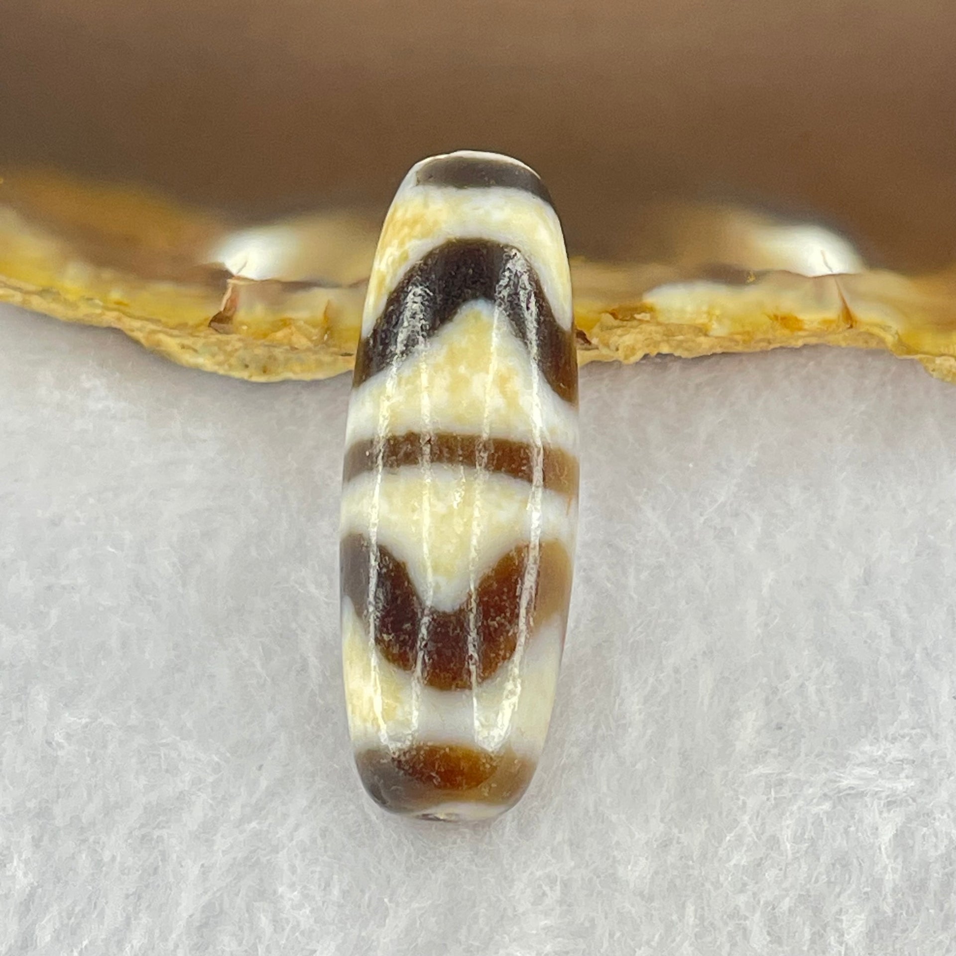 Natural Powerful Tibetan Old Oily Dark Brown White Yellow Agate Double Tiger Tooth Daluo Dzi Bead Heavenly Master (Tian Zhu) 双虎呀天诛 9.53g 36.8 by 13.1mm - Huangs Jadeite and Jewelry Pte Ltd