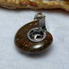 Natural Ammolite Fossil In Sliver Pendent/Charm 12.19g 29.3 by 25.8 by 11.0mm - Huangs Jadeite and Jewelry Pte Ltd