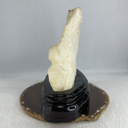 Natural Limestone Display Seashell with Wooden Stand 912.8g 150.0 by 88.0 by 142.0mm - Huangs Jadeite and Jewelry Pte Ltd