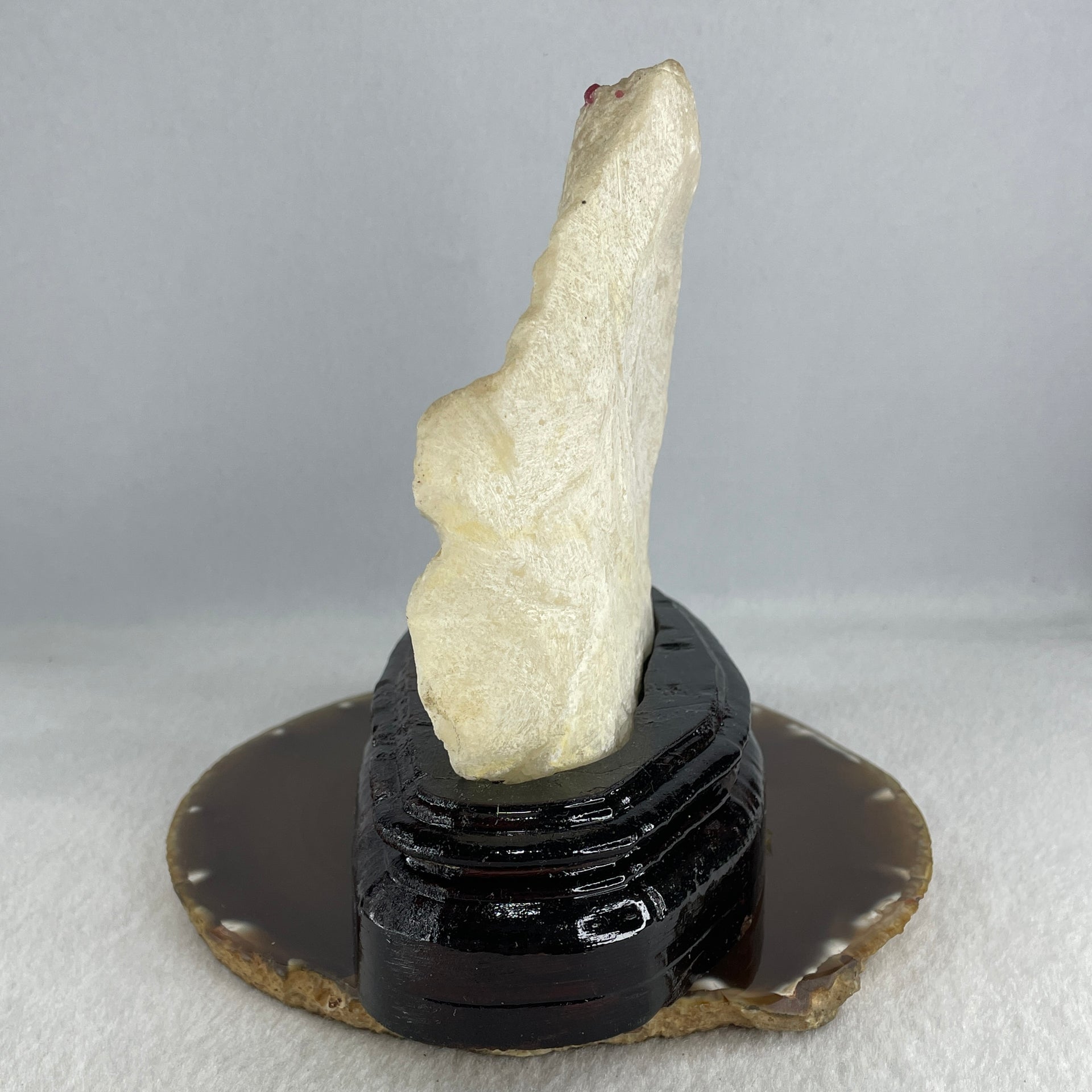 Natural Limestone Display Seashell with Wooden Stand 912.8g 150.0 by 88.0 by 142.0mm - Huangs Jadeite and Jewelry Pte Ltd