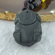 Rare Natural Tibetan Meteorite Tektite Dragon Turtle Pendent 26.63g 33.8 by 23.9 by 14.3mm - Huangs Jadeite and Jewelry Pte Ltd